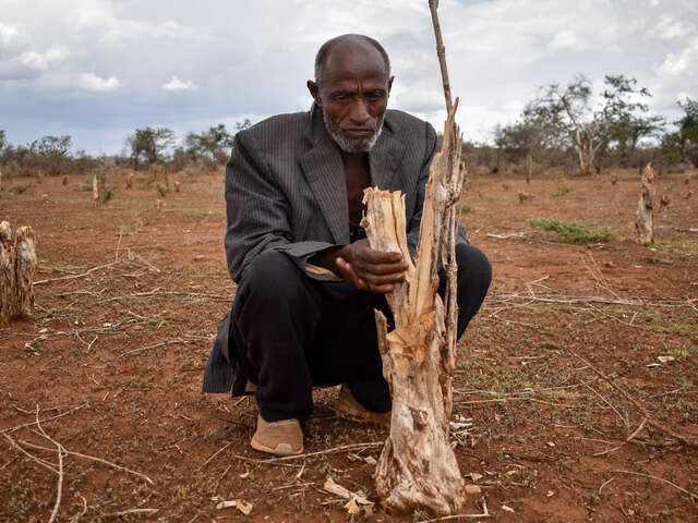 Amin Abduraman, en man som drabbats av torka i Etiopien. 