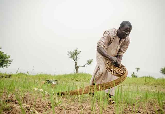 In Yola, Nigeria, Shaibu Mohammed rolls his irrigation pipes across a field in his farm located in Dasin Hausa.