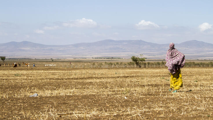 A woman stands in a parched field in Ethiopia with mountains in the distance.