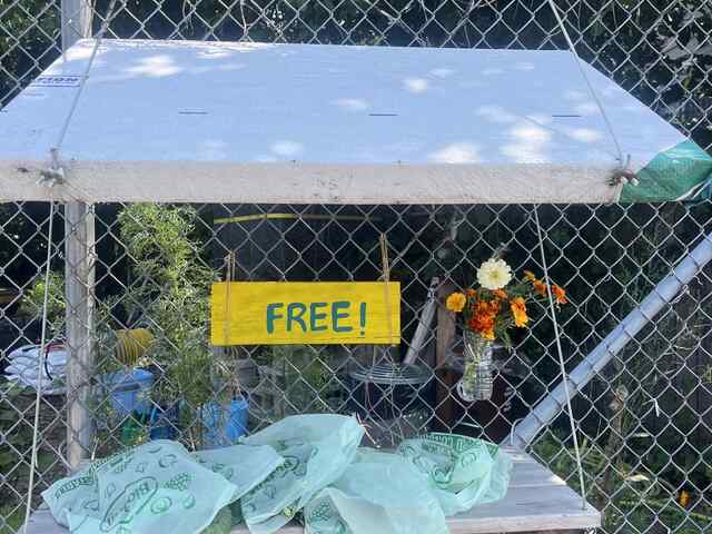 Community Shelf at the New Roots Community Garden