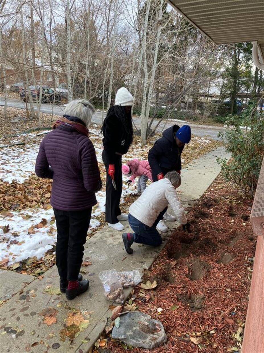 Community Sponsor group planting Daffodils in the front yard.