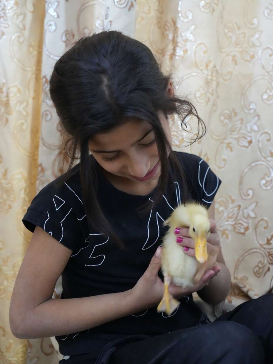 A girl holds a pet duck in her arms.