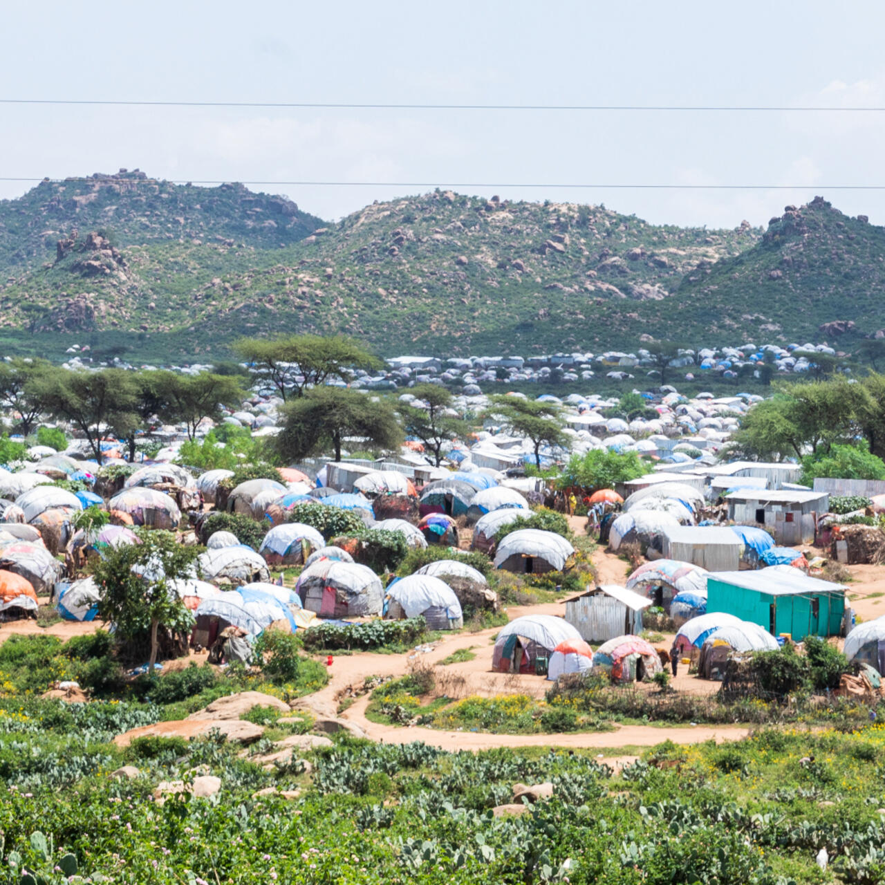 Landscape of Qoloji camp