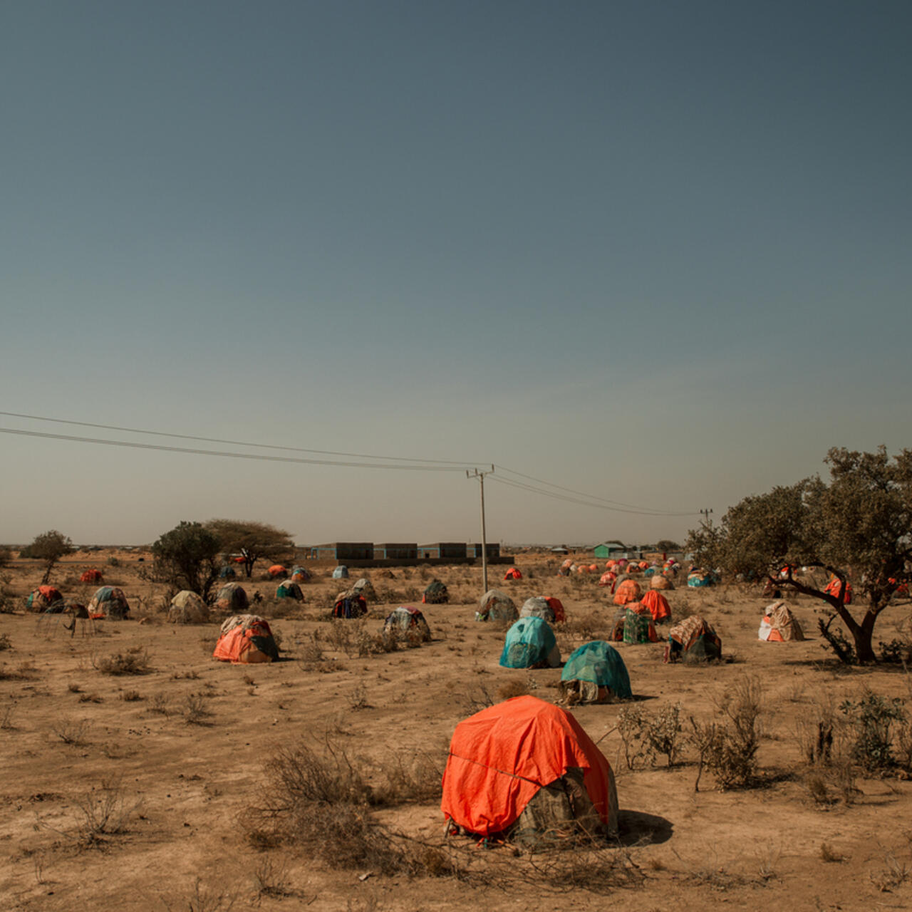 Drought has forced communities in Elele to relocate. In search of water for their animals, they move closer to nearby villages. Elele, Somali Region.