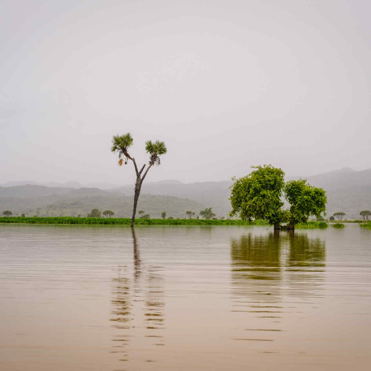 Waterscape at Dasin Hausa community, Fufoire LGA, Adamawa State Nigeria.