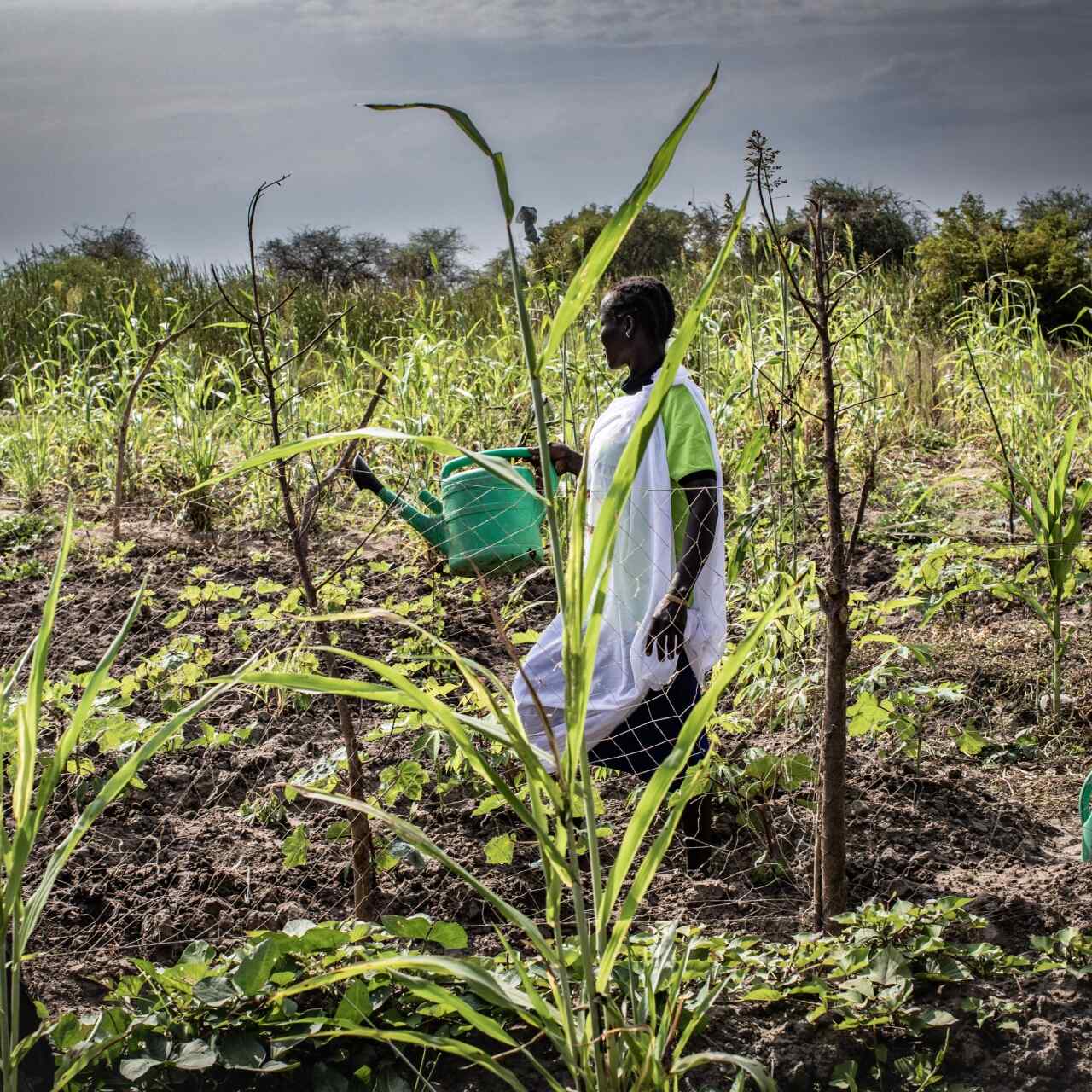 A woman works a field in South Sudan. Behind her, grey clouds roll in.