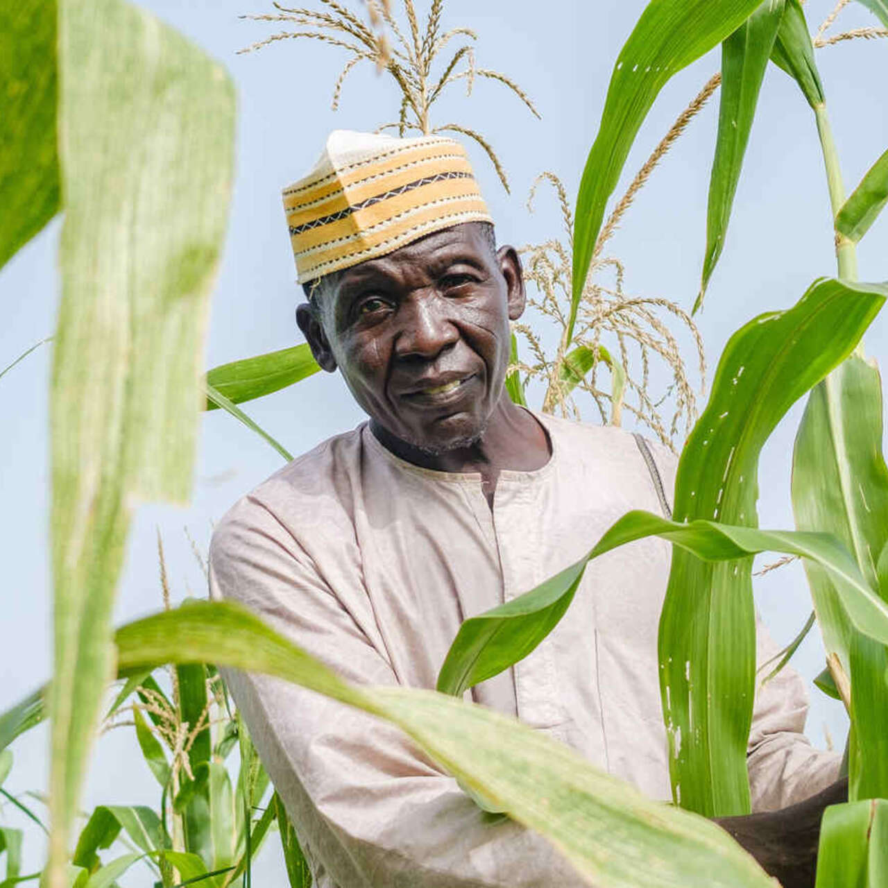 Man standing in corn field