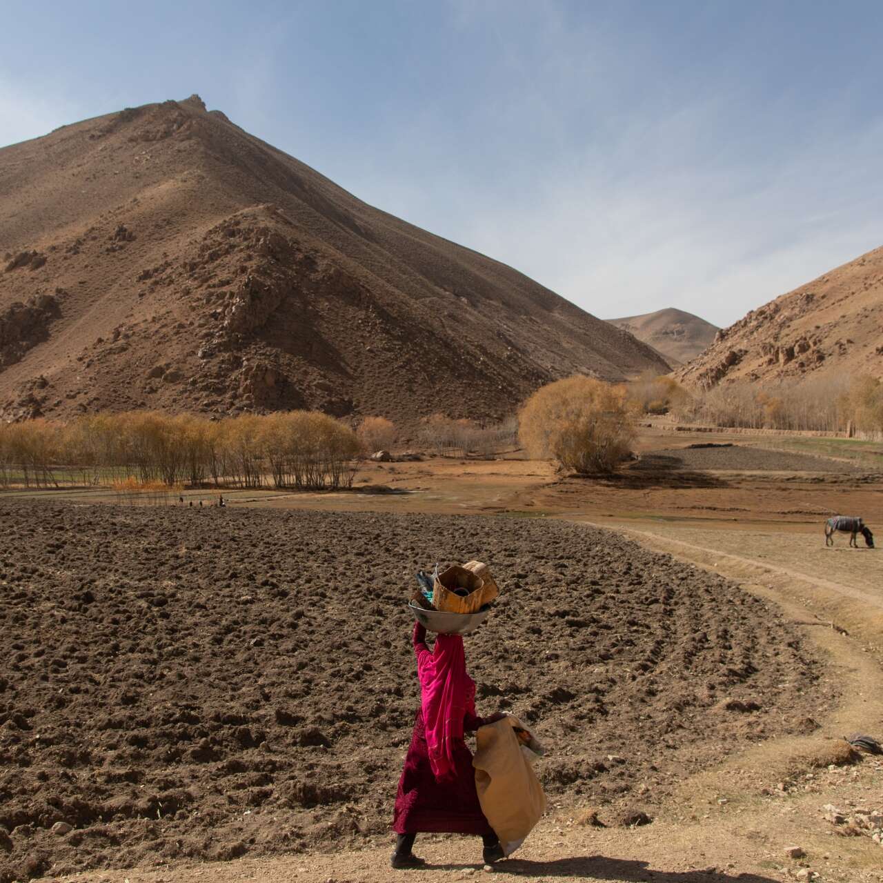 A woman walks through a drought stricken landscape while carrying supplies.