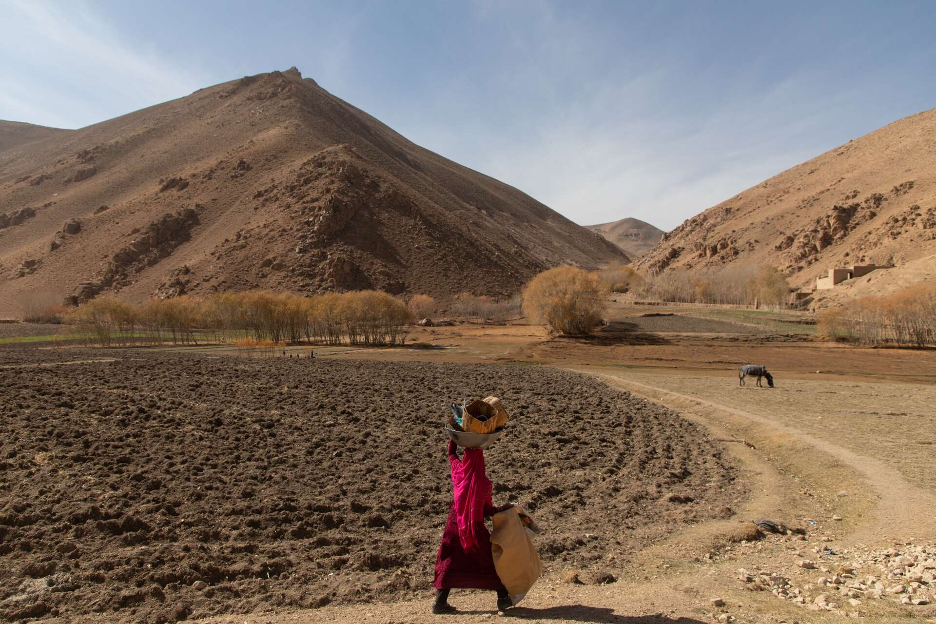 A woman walks through a drought stricken landscape while carrying supplies.