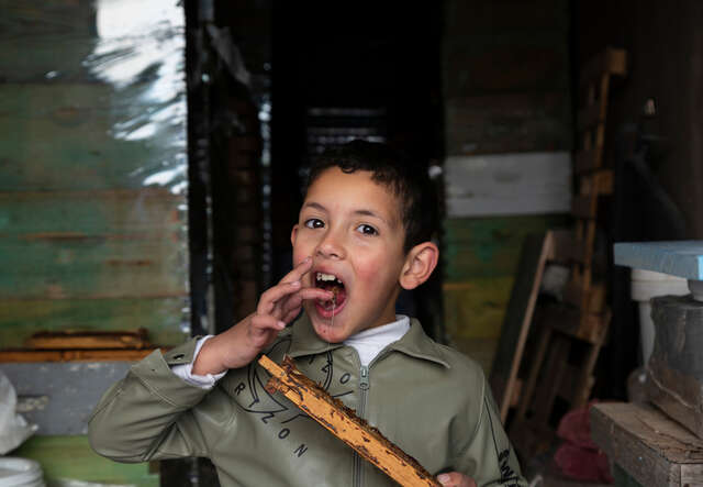 Huthaifa’s son Bilal, 8, uses his finger to collect honey from the honeycomb at his father’s store.