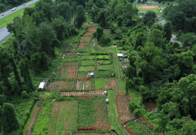 farm site lined with trees