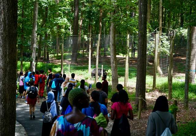 Students on a field trip at summer camp.