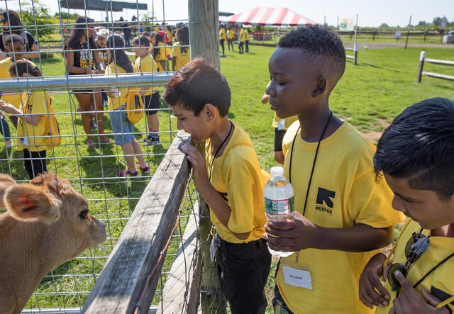 RYSA takes weekly field trips during the program. Children enjoying the farm.