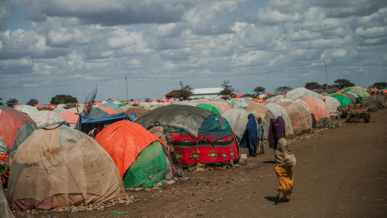 In Their Own Words: Displaced By Drought In Somalia | International ...